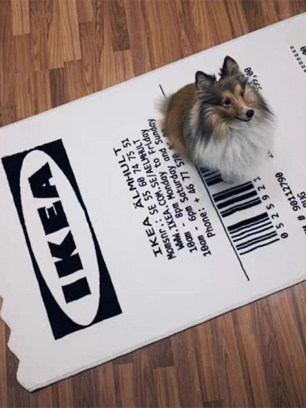 IKEA Reciept Rug White